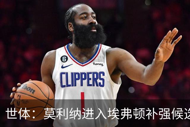 世体：莫利纳进入埃弗顿补强候选名单，马竞要价2000万欧以上